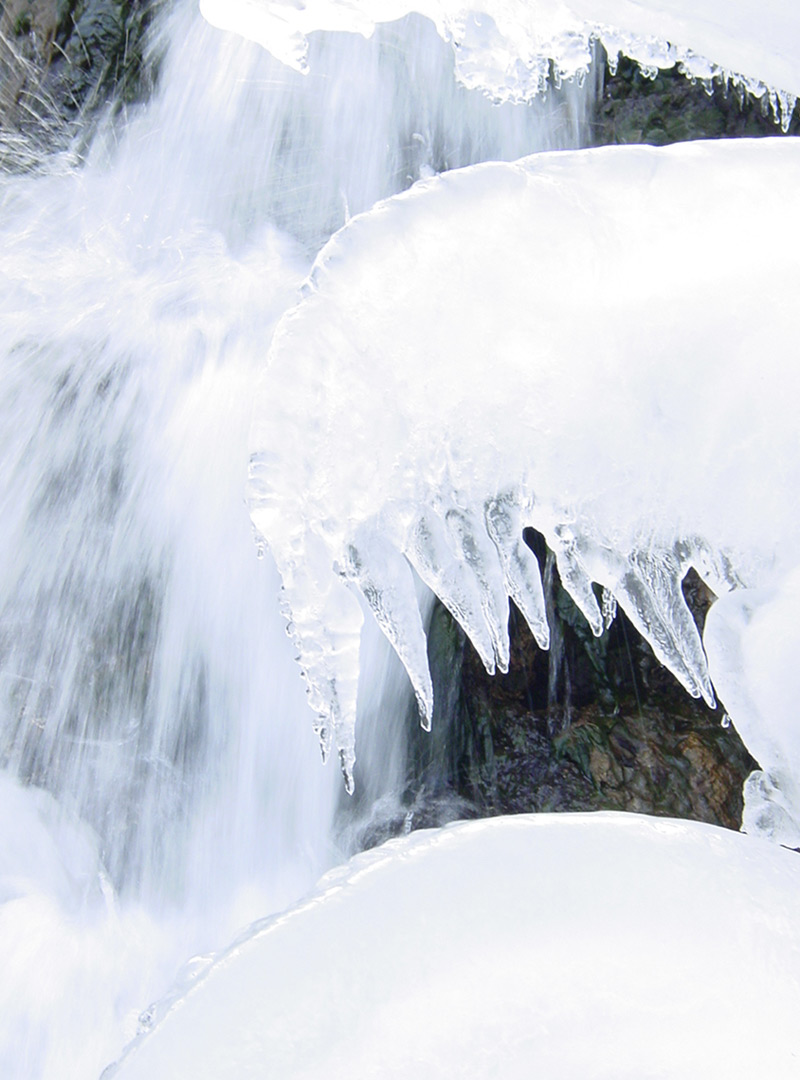 environmental-services-bg